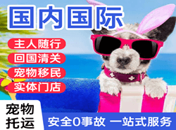 合肥空运地址国际宠物托运 【国